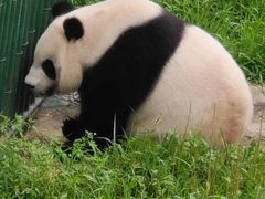 -沈阳森林动物园