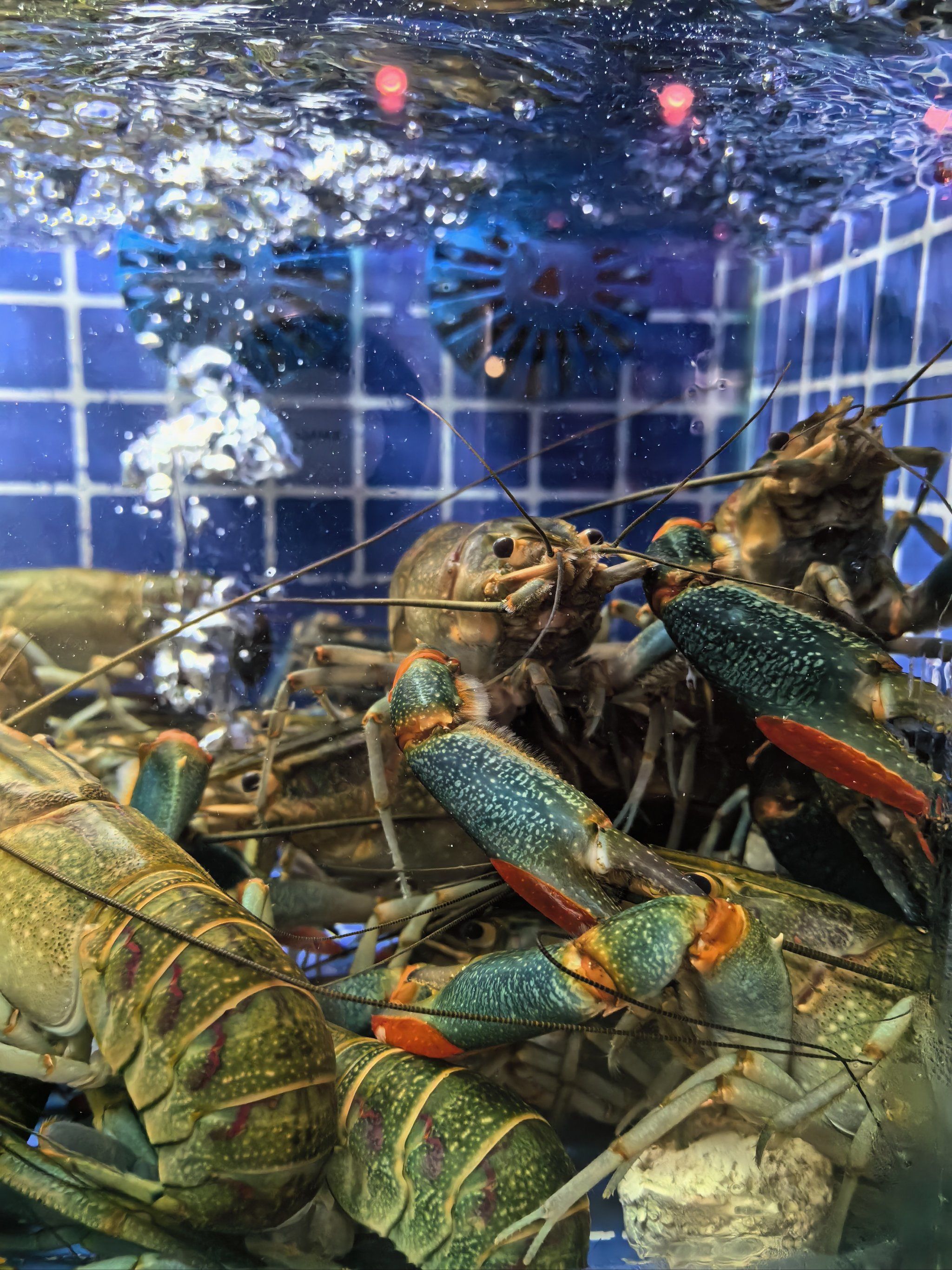 虾兵蟹将,尔等速速就位!