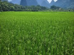 -长寿村