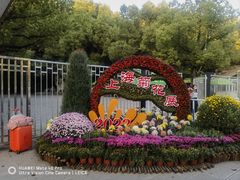 -上海共青森林公园