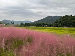 -东钱湖旅游度假区