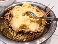 海胆-海味当家·蒸锅海鲜(中山广场创始店)