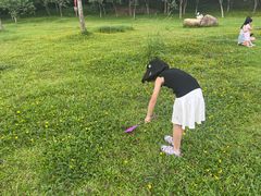 -田心森林公园