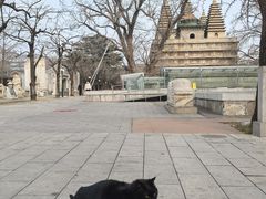 -北京石刻艺术博物馆