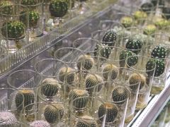 -KKV(深圳宏发大仟里店)