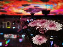 -原食日记(合生汇购物中心店)