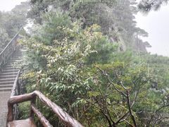 -三清山风景名胜区