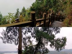-子昂故里文化旅游区