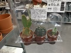 -宜家家居(哈尔滨商场店)