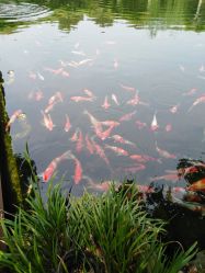 -长沙小顽国景区