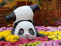 -南山植物园