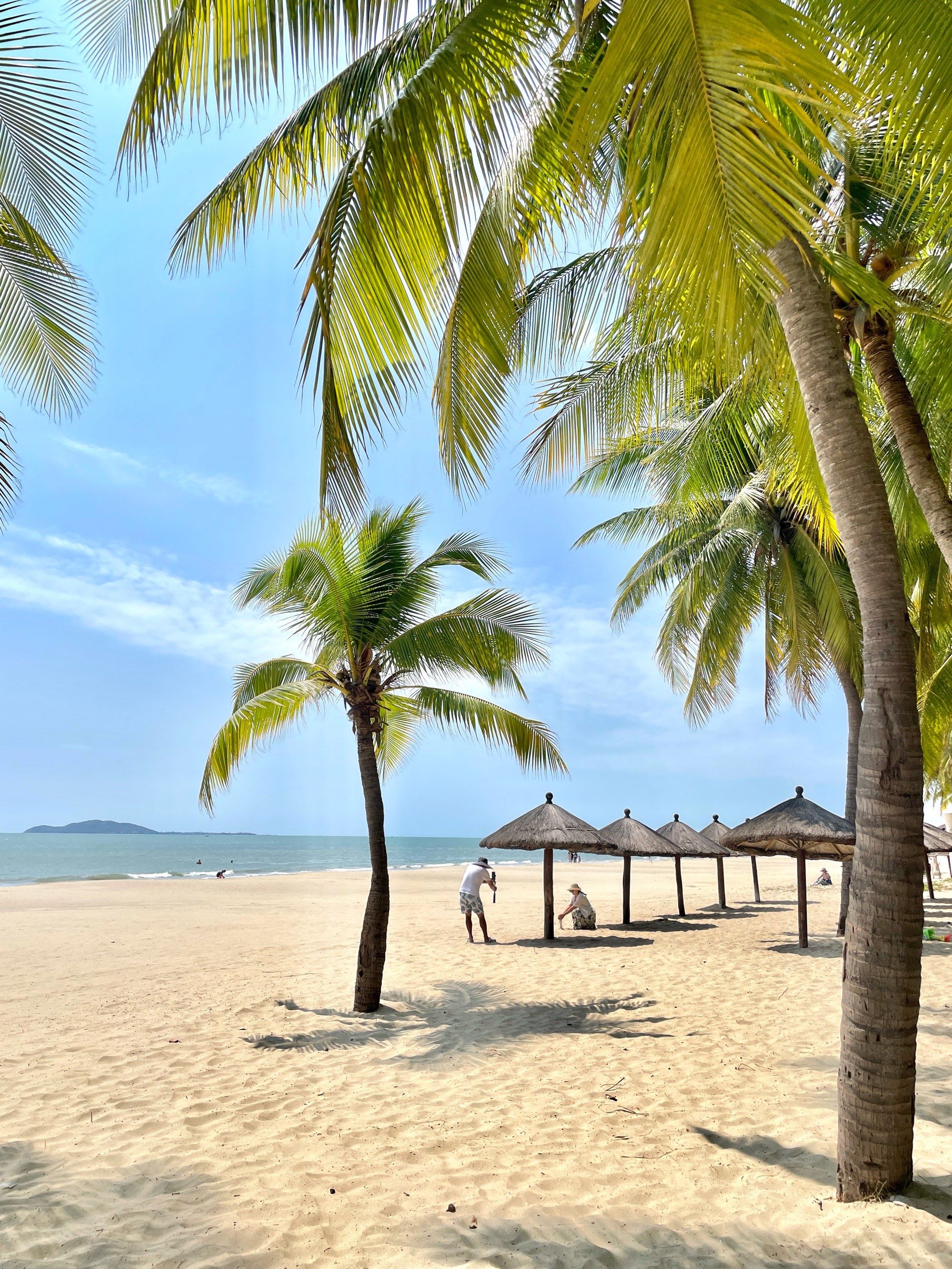 n在椰林下挖挖沙,又遮阴蔽日又能感受海风的凉爽
3月的三亚人流