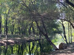 -长白岛森林公园