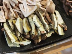 -蘑统田下·野生菌火锅