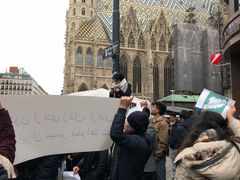 -斯蒂芬主教座堂(Stephansdom)