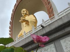 -庐山风景名胜区-东林大佛
