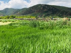 -泸沽湖国家级风景名胜区走婚桥
