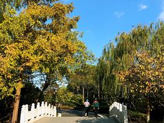 -大宁灵石公园西门票处