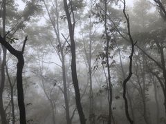 -秦岭风景区