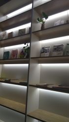 -1001普拉提运动
