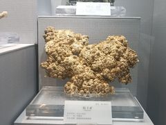 -湖南省地质博物馆