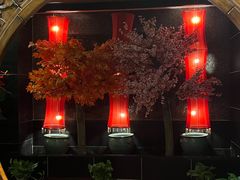 -富侨养生(九亭店)