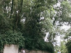 -黔灵山公园