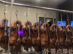 -MR鹅外