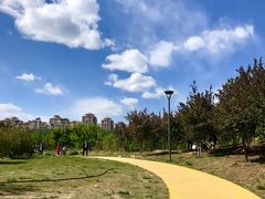-马家湾湿地公园
