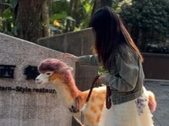 -三亚亚龙湾人间天堂鸟巢度假村