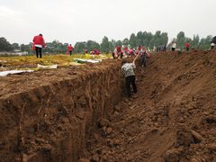 -解家河南菜(商鼎路店)