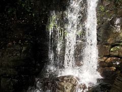 -江西阳明山国家森林公园