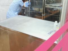 -荔康动物医院(康王北路店)