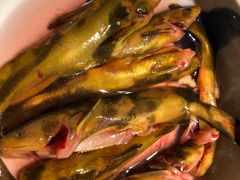 -大妙火锅·非物质文化遗产(东湖公园店)