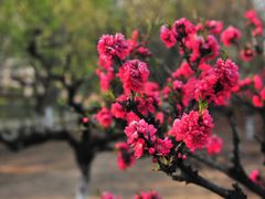 -白塘生态植物园