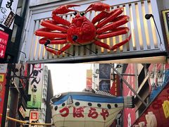 -蟹道乐(道顿堀本店)