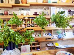 -今日陶艺(富力广场店)