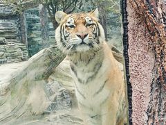 -贵州森林野生动物园