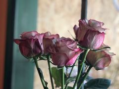 -The Flowers Coffee(南山店)