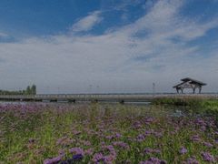 -阳澄湖半岛旅游度假区