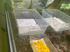 -上海昆虫博物馆