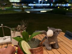 -东方美谷JW万豪酒店·The lounge大堂吧