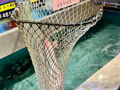 -金百门·顺德海鲜酒家(陈村店)