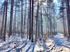 -中旅松花湖滑雪场