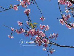 -广州市帽峰山景区