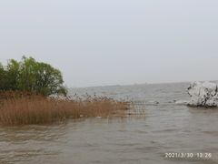-上海吴淞炮台湾国家湿地公园