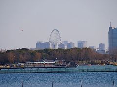 -渤公岛生态公园