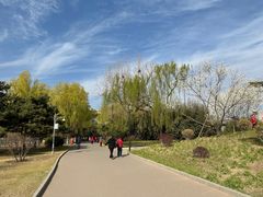 -莲花池公园