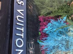 -路易·威登(香榭丽舍大道店)