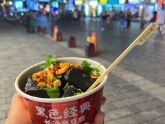 -黑色经典臭豆腐·湖南特产(坡子街店)